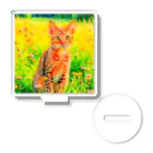 猫好きの谷の猫の水彩画/花畑のオシキャットねこのイラスト/キジトラネコ Acrylic Stand