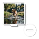 kokin0の水辺を走る犬 dog runnning on the water Acrylic Stand