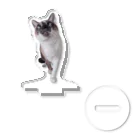 みけねこ情報局のねこのミュシャ Acrylic Stand