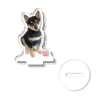 うたた寝の🐾豆柴BOY🐾 世界中で愛される柴犬 Acrylic Stand