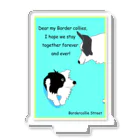 Bordercollie StreetのBorder Collie 89 アクリルスタンド