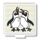 penguininkoの仲良く鳴き合うケープペンギン背景ありA アクリルスタンド