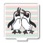 penguininkoの仲良く鳴き合うケープペンギン🐧背景ありB アクリルスタンド