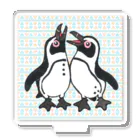 penguininkoの仲良く鳴き合うケープペンギン🐧背景ありC Acrylic Stand