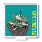 nrms0901のアガベチタノタSAD Acrylic Stand