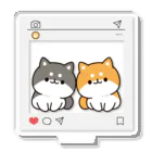 DECORのお返事シバイヌくん　SNSでシェアver. アクリルスタンド