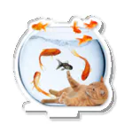 𝙈𝙊𝙈𝙊'𝙨 𝙎𝙝𝙤𝙥の金魚鉢 アクリルスタンド