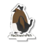 ピゴセリス属のHachiwarePen Acrylic Stand