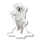 𝐿𝑂𝑉𝐸𝑌𝑂𝑈のどこでもムーチョアクスタ Acrylic Stand