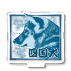 【モルモット】Mugi & Ruki【四国犬】の天然記念物 四国犬ちゃん ─Japanese natural treasure Shikoku dog ─ Acrylic Stand