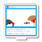 鳥とお花の雑貨店(sakurabun)のアクリルスタンド専用SNS風 Acrylic Stand