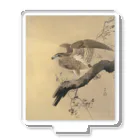 MUGEN ARTの小原古邨　鷹　Ohara Koson / Falcon アクリルスタンド