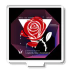 bazaarのRose CD アクリルスタンド