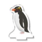 とりれんこの【寄付】ミナミイワトビペンギン アクリルスタンド