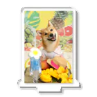 柴犬グッズ専門店 あられ堂の柴犬　真夏のリゾート001 Acrylic Stand