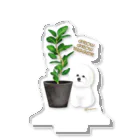 omuginoco.の植物と犬（ビションフリーゼ） Acrylic Stand