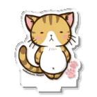 MarchenCatののほほんネコさん【まいぽん】 Acrylic Stand