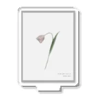 rilybiiのTulip , shabby chic Greige . アクリルスタンド