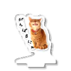 ぬこヌッコロ(猫谷櫂人)のがんばるにゃ応援ばあちゃん Acrylic Stand