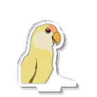 kobirdのコザクラインコ〜クリームルチノー〜 アクリルスタンド