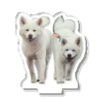 梅子&白岳の梅白コラボ Acrylic Stand