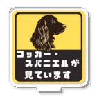 Chinchillust Shop（チンチラ×イラスト）のコッカー・スパニエルが（あなたを）見ています アクリルスタンド