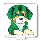 kappaのかわいい子犬 アクリルスタンド