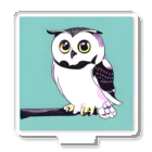 Owlのキュートなフクロウ アクリルスタンド