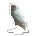 みぽりんショップのセキセイインコハクちゃん アクリルスタンド