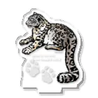 MUSEUM LAB SHOP MITのアクスタ＊ユキヒョウ１　 Snow leopard   アクリルスタンド