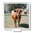 SK8461の牛 アクリルスタンド