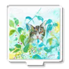 動植物絵描き屋　ogawa sakuraの夏ねこ アクリルスタンド