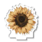 Atelier Petrichor Forestのヒマワリ Sunflower Acrylic Stand