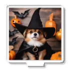 ToToMoの【ハロウィン】ドッグウィッチ アクリルスタンド