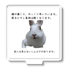 えり🐰らてましゅ🐰絵本出版中の膝痛いラテちゃん アクリルスタンド