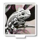 Reptile LoversのReptile Lovers(カメレオン) Acrylic Stand