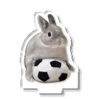 うさまめたいむのうさぎとサッカー⚽️ アクリルスタンド