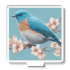❤︎cute❤︎のbeautiful blue bird Acrylic Stand
