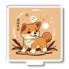 dcgnori／ワンコ画像の柴犬、縄文☆彡古代くん Acrylic Stand