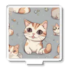 しゃいんぼっくすのねこみけちゃん アクリルスタンド