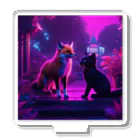 月ノ宮狐⁺🌙⛩️🦊⁺の狐と黒猫ちも アクリルスタンド