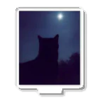 znd__の猫と月。 アクリルスタンド