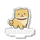 天照 のっけ(LINEスタンプ販売中)の柴犬 Acrylic Stand