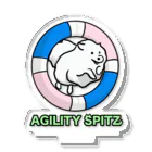 ehime@けだま&もち＆すみのAGILITY SPITZ「ぴょ〜んと飛ぶよ」 アクリルスタンド