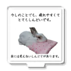 えり🐰らてましゅ🐰絵本出版中の疲れやすいラテちゃん アクリルスタンド