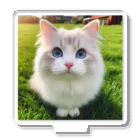 Wild Design Hub🐺のBlue eyes cat2 「猫」 アクリルスタンド