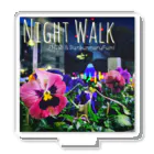 ぶんぶんまるふみ（ぶんちゃん）の「NIGHT WALK」ジャケット画像 アクリルスタンド