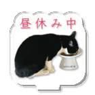 猫T屋のIT系猫 ・昼休み中 / アクリルスタンド Acrylic Stand