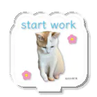 猫T屋のIT系猫 ・start work / アクリルスタンド Acrylic Stand