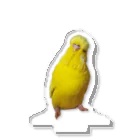 s301149のジャンボセキセイインコ アクリルスタンド